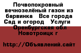 Почвопокровный, вечнозелёный газон из барвинка - Все города Сад и огород » Услуги   . Оренбургская обл.,Новотроицк г.